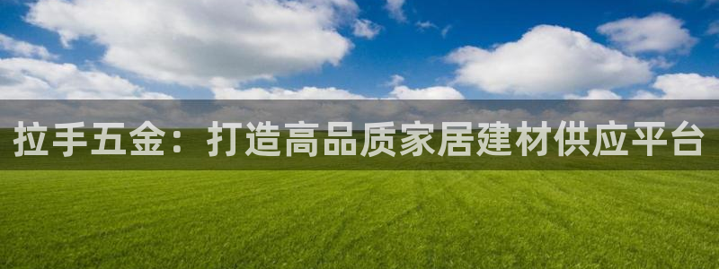 云顶国际麻将胡了几张牌