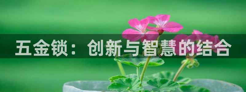 云顶国际商业广场 荣耀