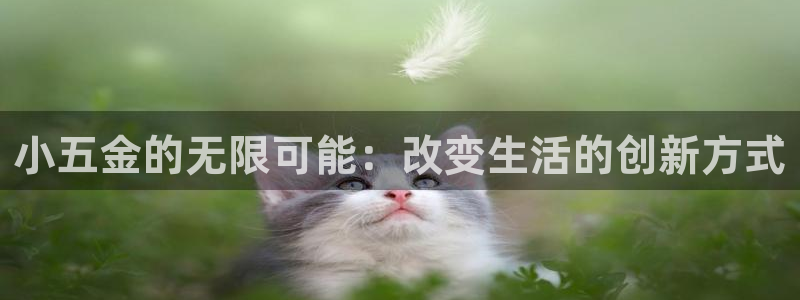 云顶国际服更新公告