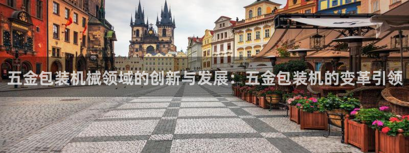 云顶国际是做什么的