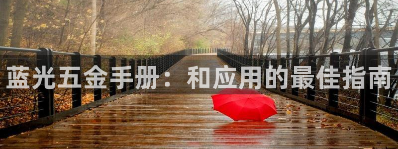云顶国际怎么样