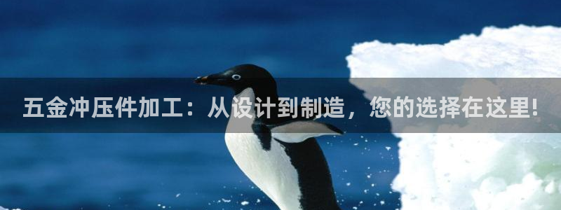云顶集团中国区执行总裁是谁