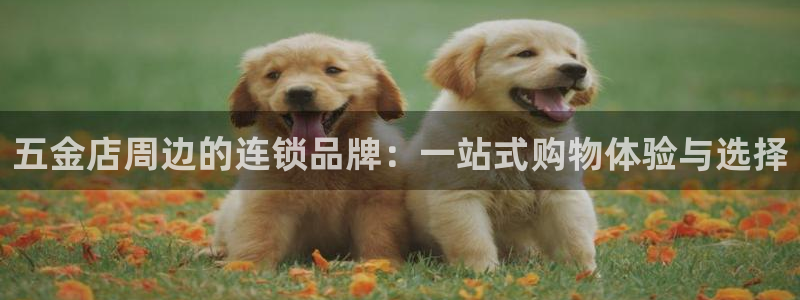 云顶国际服跨区数据