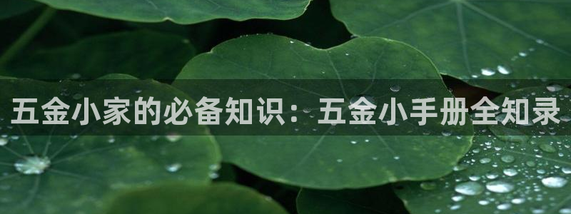 云顶国际广场房价