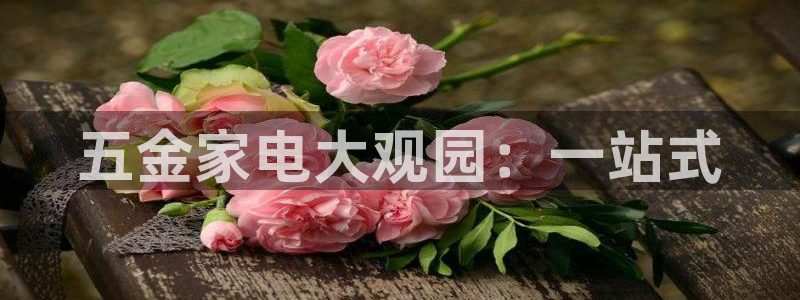 云顶国际pg网站