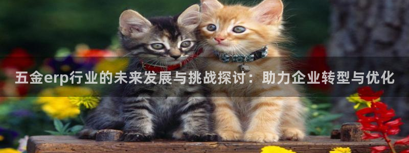 中国云顶集团