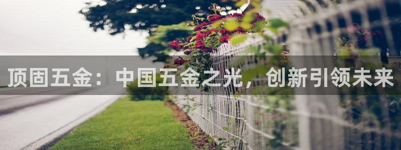 云顶国际足球app下载