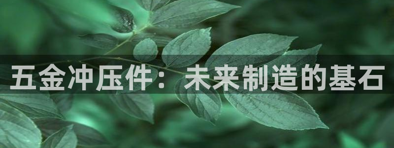 云顶国际app官方网站