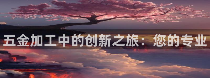 云顶国际服s11