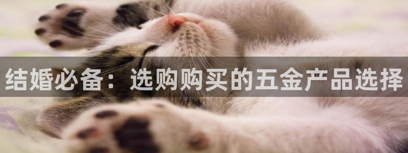 云顶国际的客服几点在线
