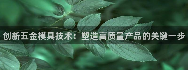 云顶电子游戏平台