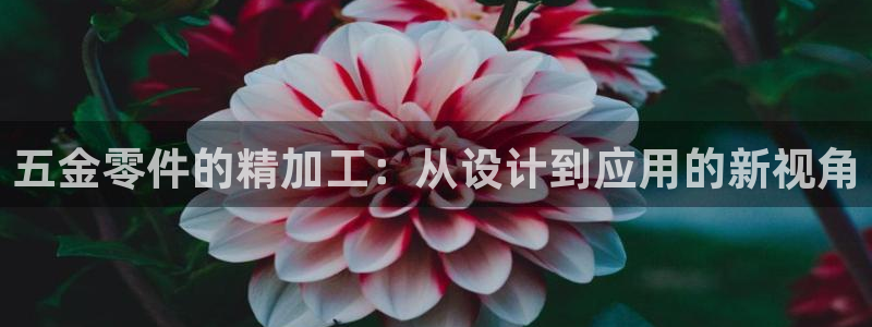 云顶集团3118acm官网