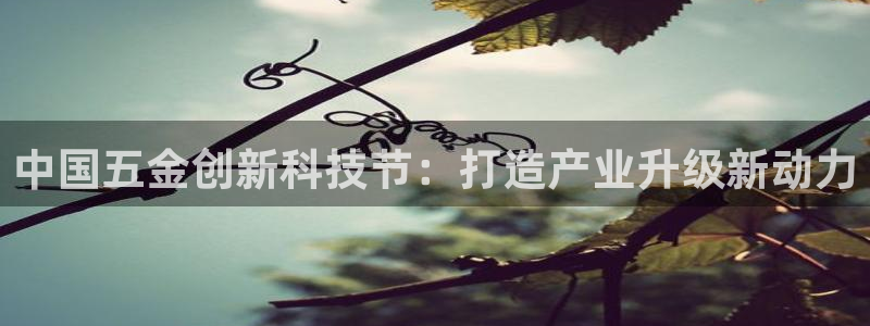 云顶国际平台是真的吗