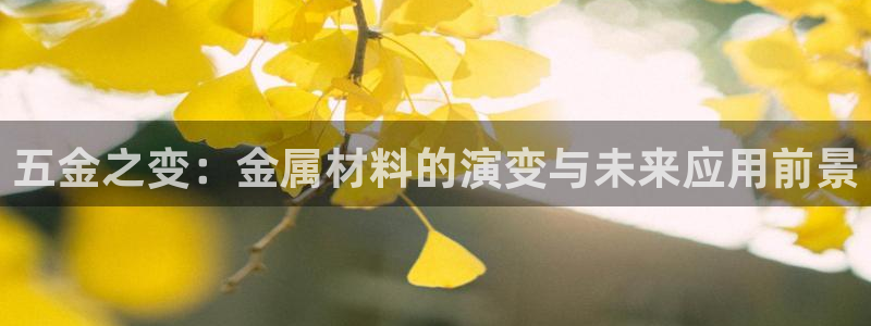 云顶国际提现多久到账