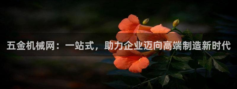 云顶国际服是哪个服