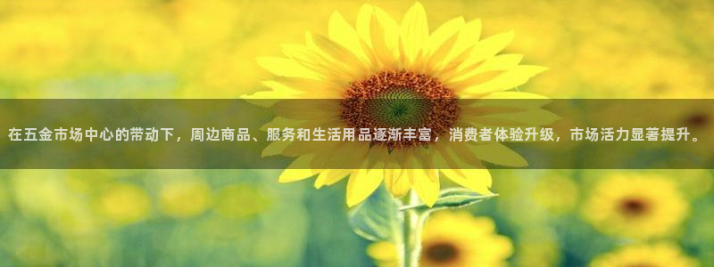 云顶国际服s10