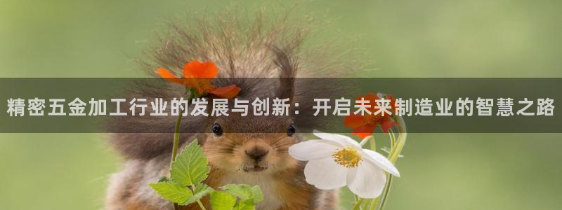 云顶集团网站多少