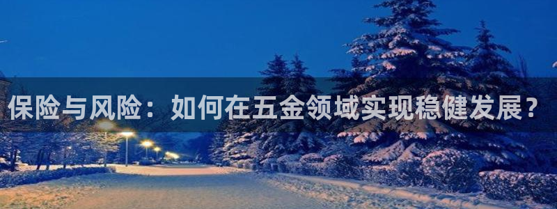 云顶国际集团发展有限公司国内项目总经理