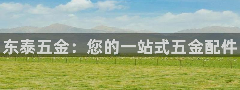 云顶国际服是哪个服