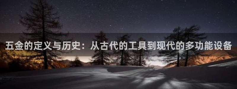 云顶国际物流有限公司