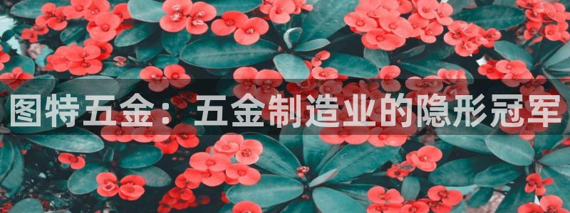 云顶国际宴会中心坐几路公交车