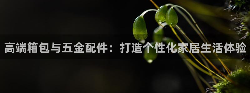 云顶集团有限公司