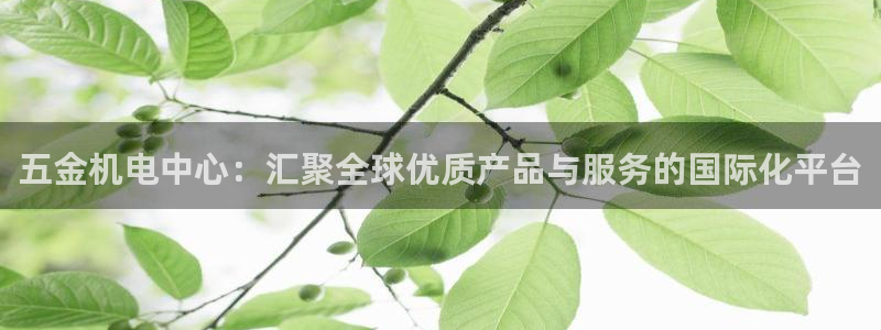云顶国际服什么时候更新s8