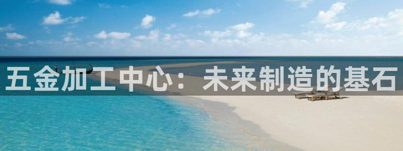 云顶集团有限公司简介图片