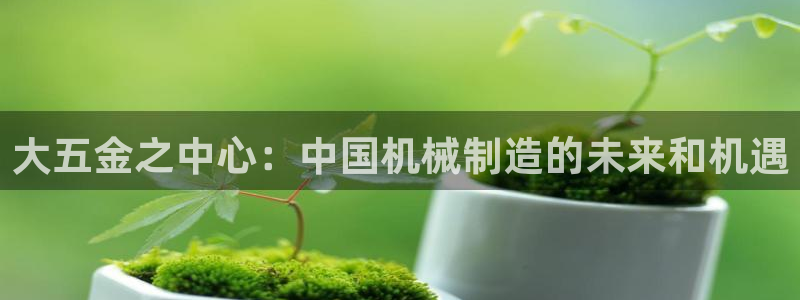 云顶国际酒店老板简介