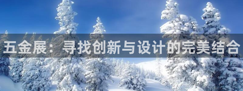 云顶国际服叫什么