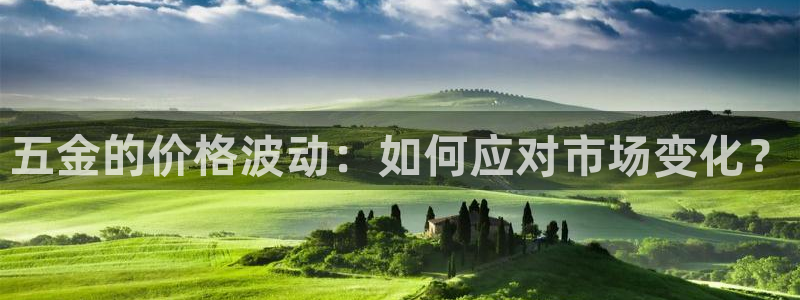 云顶国际平台app