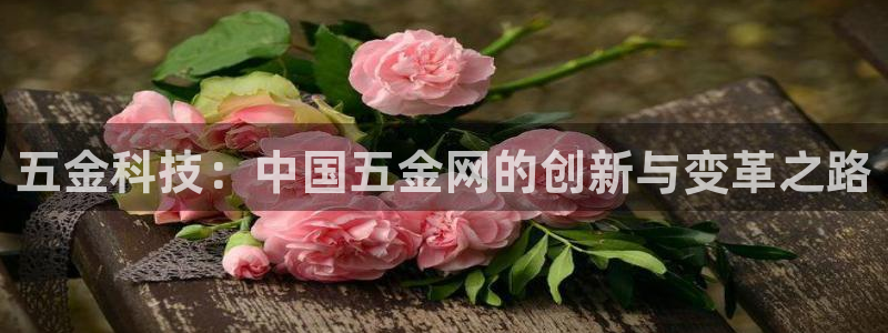 云顶国际麻将胡了几张牌