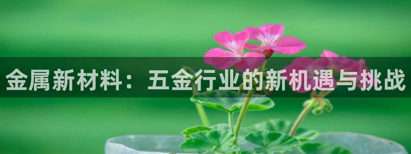 云顶国际是做什么的