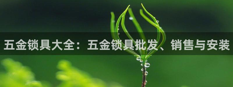 yd云顶集团app下载