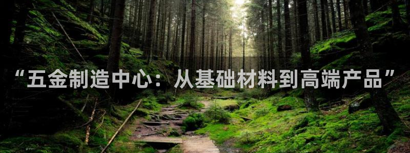 云顶国际服怎么玩