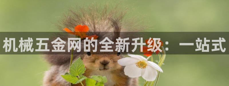 云顶国际公馆是公寓吗多少钱