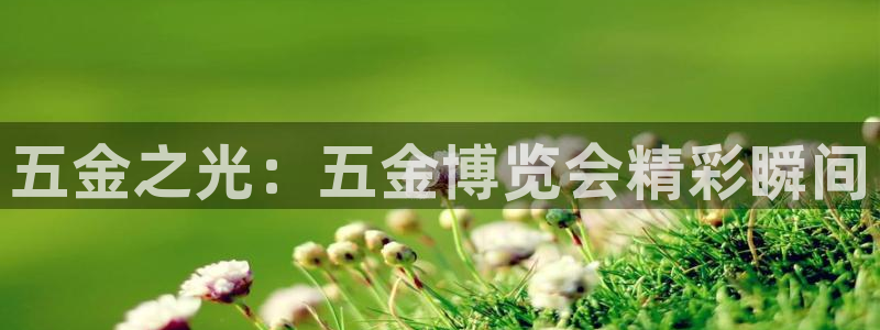 4188云顶集团下载