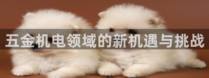 云顶国际俱乐部是干嘛的