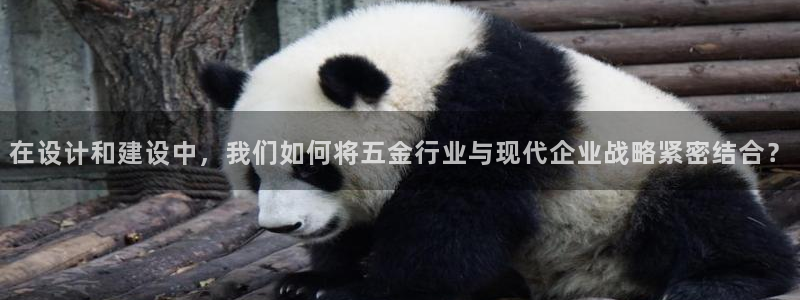 云顶国际商业广场a座101室