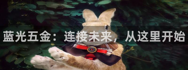 云顶国际集团游戏