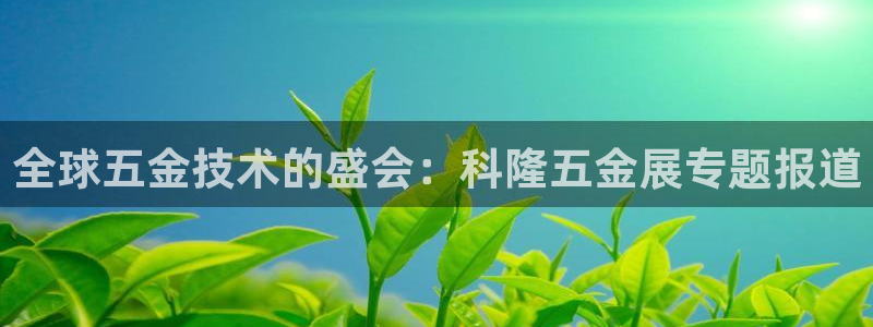 云顶集团中国分公司