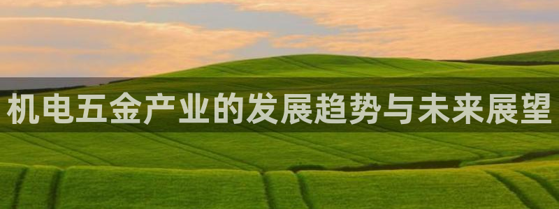 云顶国际服下载