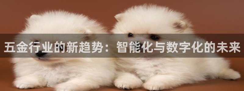 云顶国际集团发展有限公司