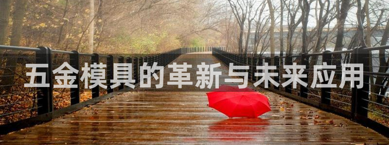 云顶国际城手机网址查询