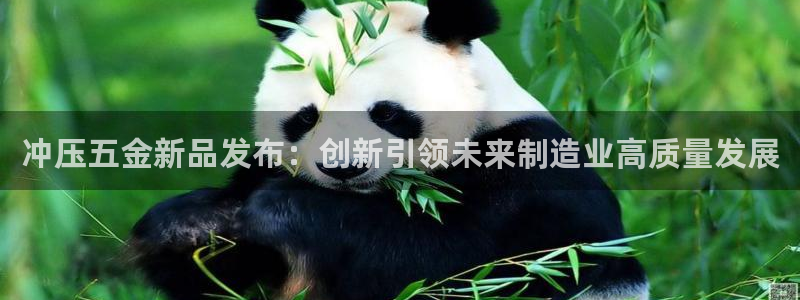 云顶国际大酒店房间价格表