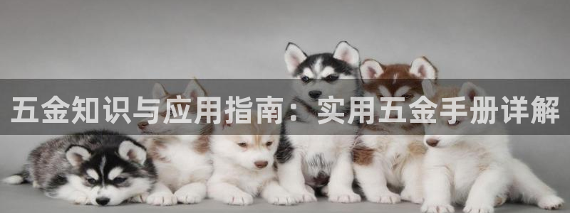 云顶手游国际服什么时候更新4.5