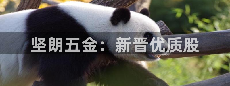 云顶国际服s10什么时候更新