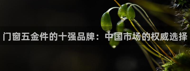 云顶集团3118acm官网