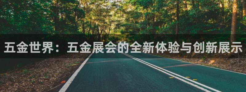 云顶国际服阵容