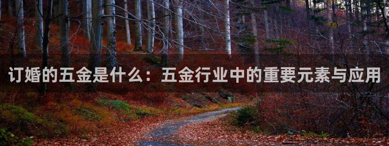 云顶国际俱乐部是干嘛的